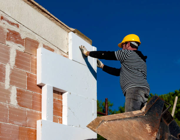 Best Attic Insulation Installation  in Kansas City, KS